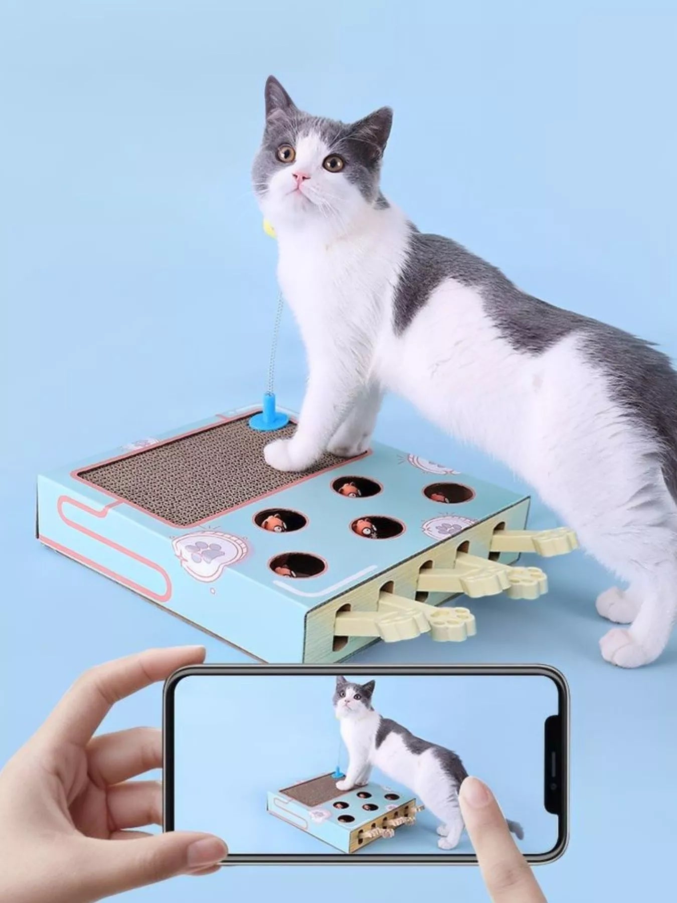 6383c684-e4a6-4bf7-84aa-18dde28e02c0-Max-Origin