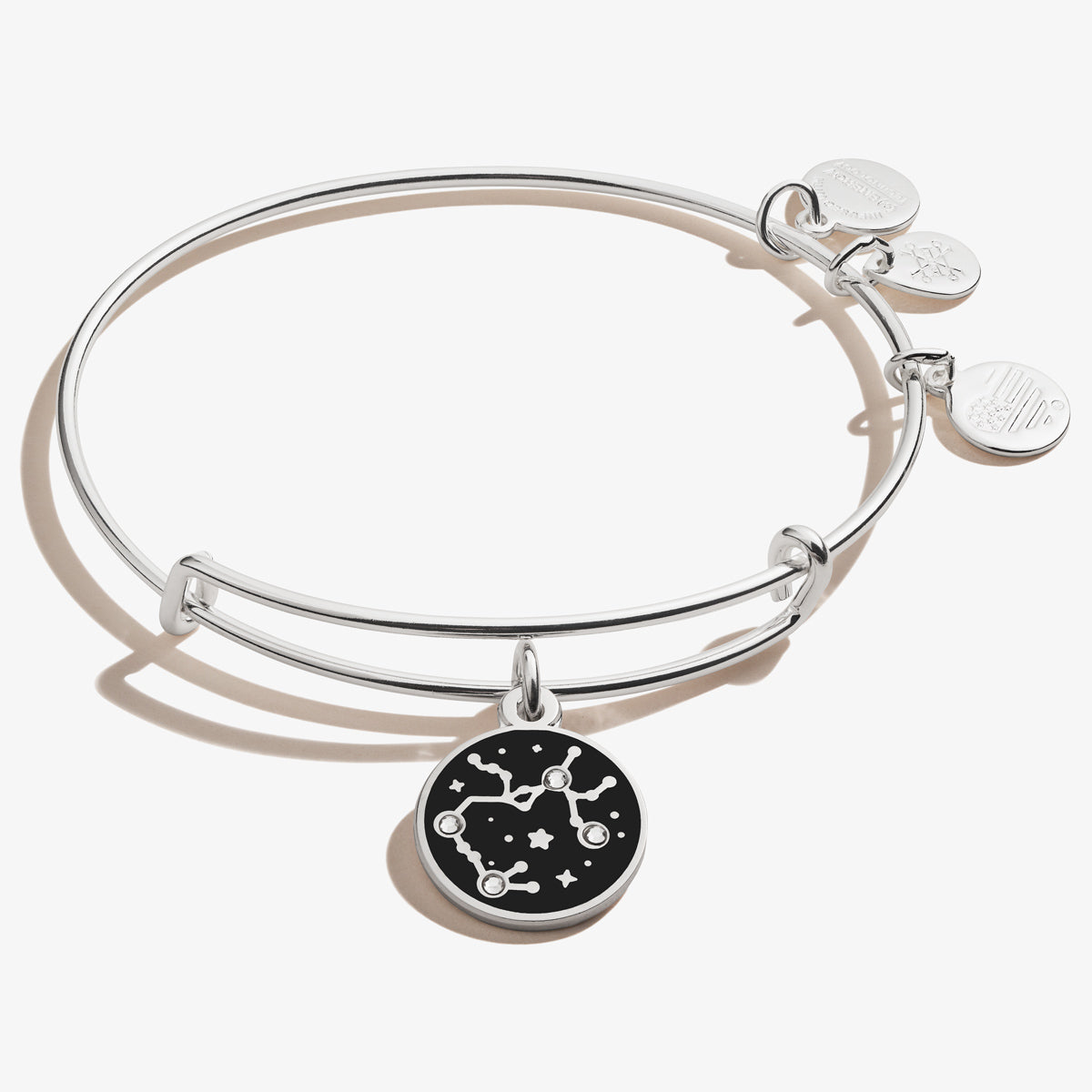 Sagittarius Zodiac Charm Bangle