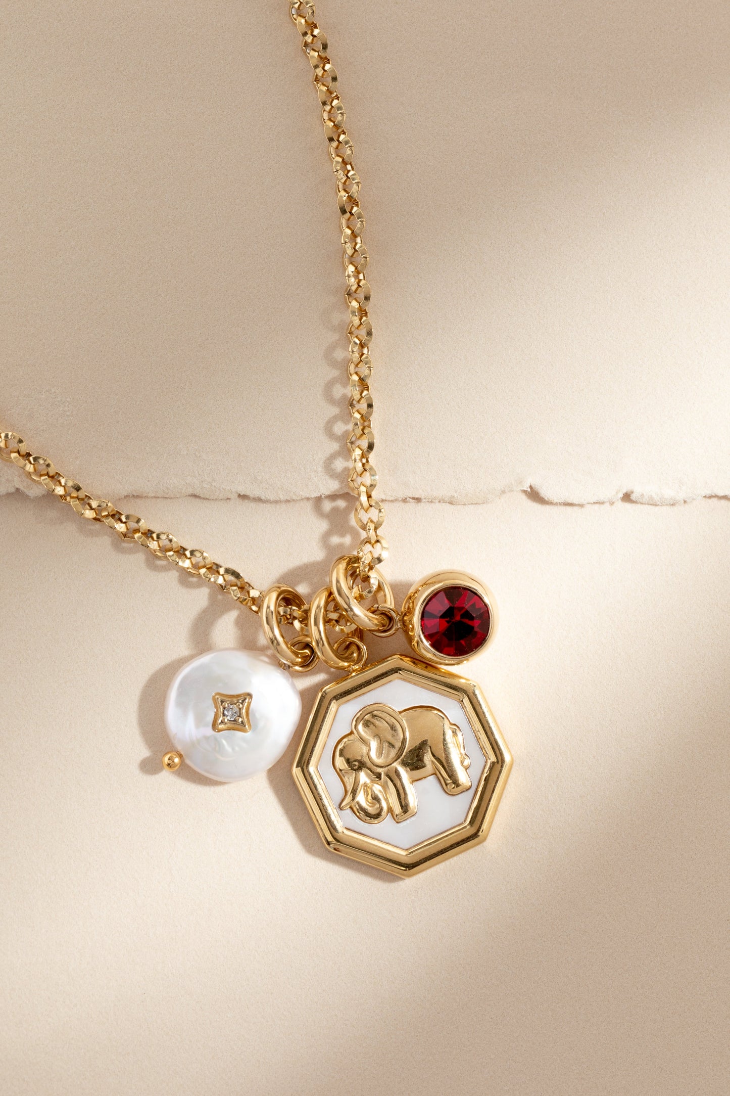 January Birthstone Interchangeable Charm