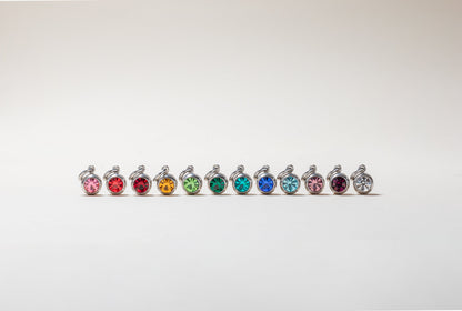 January Birthstone Interchangeable Charm