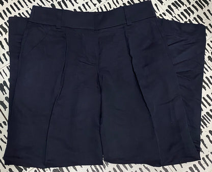 Ann Taylor LOFT Navy Blue Business Pants