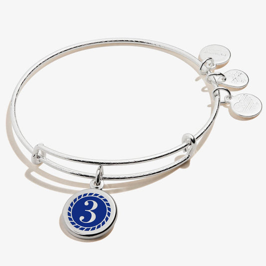 Number 3 Charm Bangle | Wholeness, Creativity, and Intuition