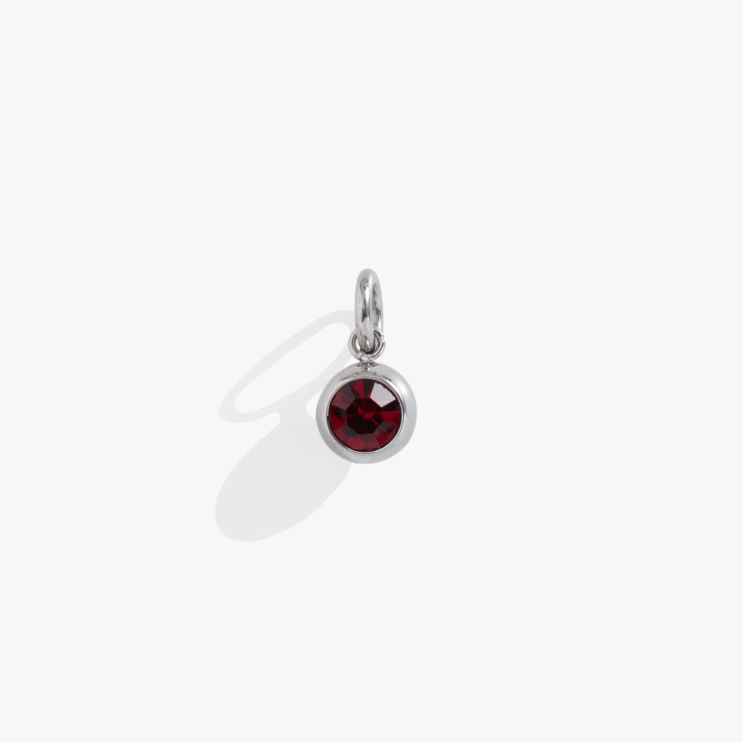 January Birthstone Interchangeable Charm
