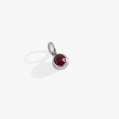 January Birthstone Interchangeable Charm