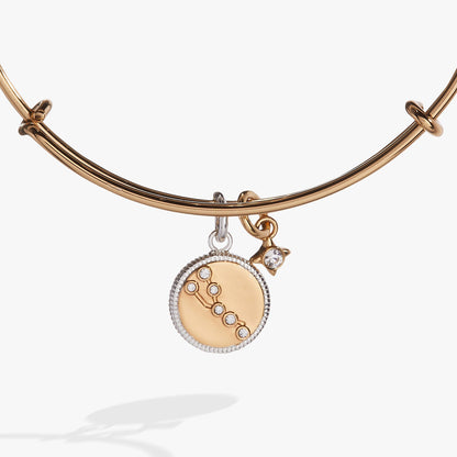 Taurus Zodiac Charm Bangle
