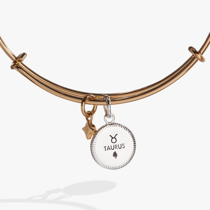 Taurus Zodiac Charm Bangle